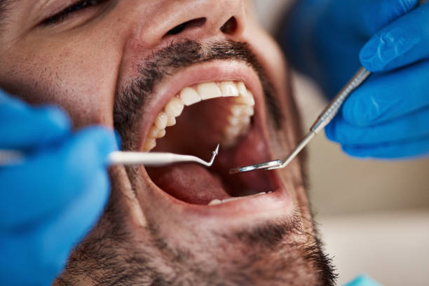 Best Holiday Emergency Dentist in Ortonville, MI
